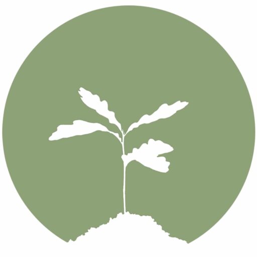 Silhouette of a small plant with leaves growing out of the ground, depicted in white against a green circular background.