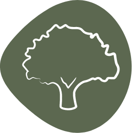 Outline of a tree in white against a dark green, rounded background.