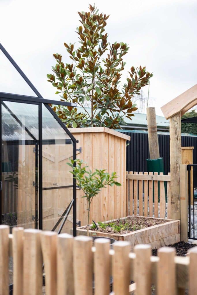 A wooden garden shed, a greenhouse, and a raised garden bed with young plants, surrounded by a wooden fence.